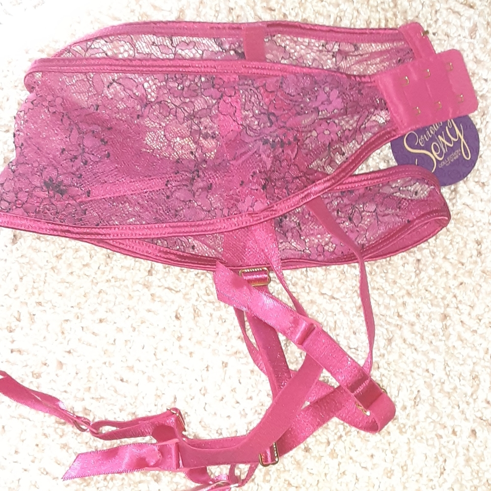 Sexy Pink Garterbelt